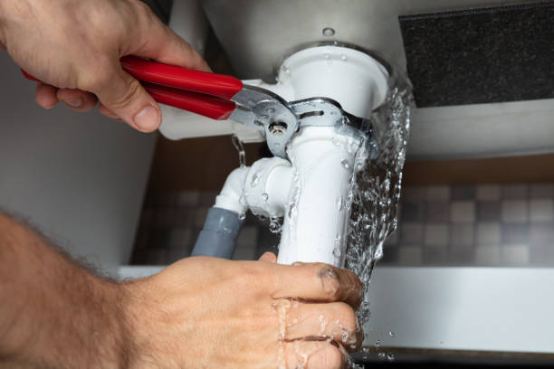 Best Water damage restoration services  in Diamond, IL