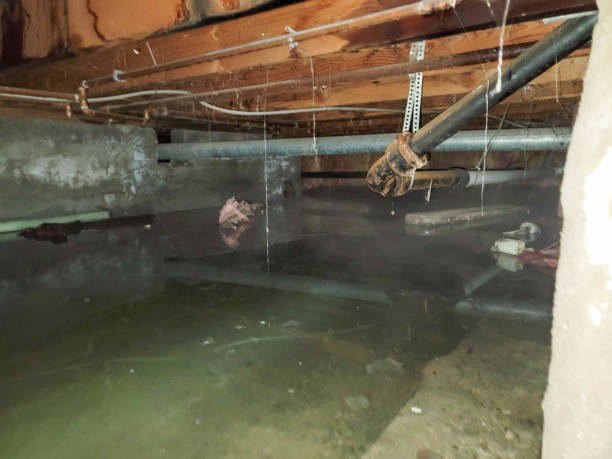 Best Fire Damage Restoration  in Diamond, IL