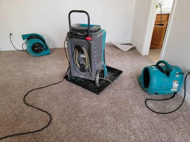 Best Professional water damage repair  in Diamond, IL
