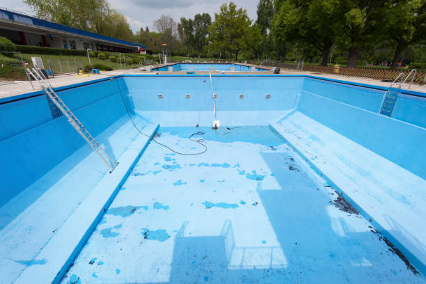 Best Carpet water damage restoration  in Diamond, IL