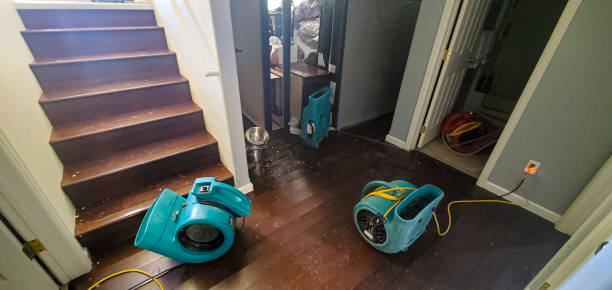 Water damage restoration mold remediation in Diamond, IL