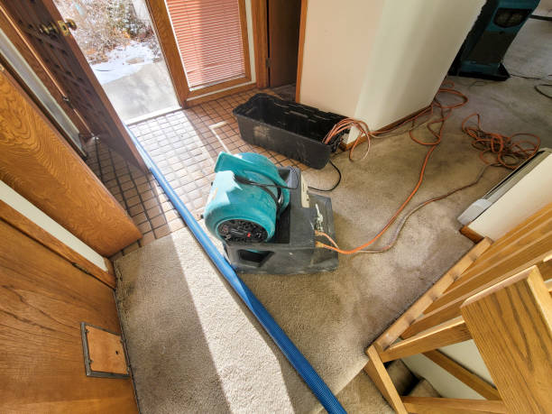 Best Water damage restoration company  in Diamond, IL