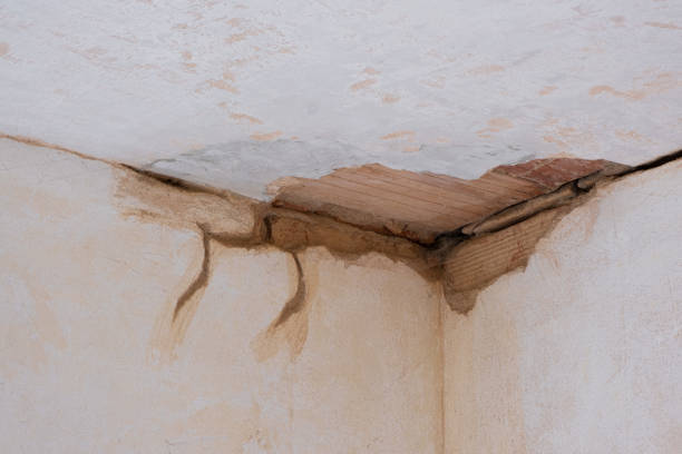 Best Basement water damage restoration  in Diamond, IL