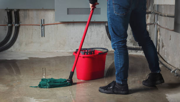 Best Flood restoration services  in Diamond, IL