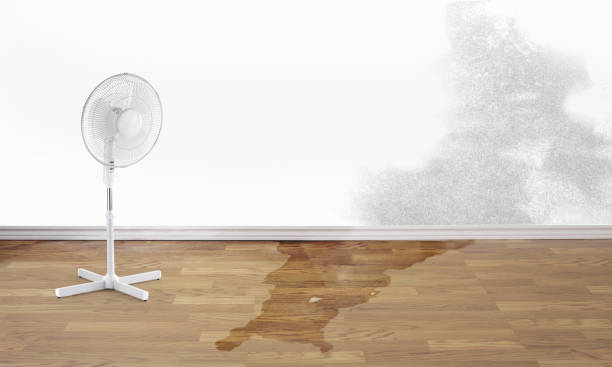 Water damage restoration experts in Diamond, IL