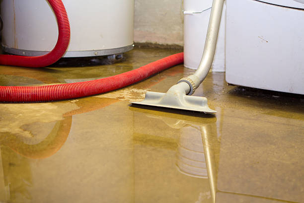 Best Ceiling water damage repair  in Diamond, IL
