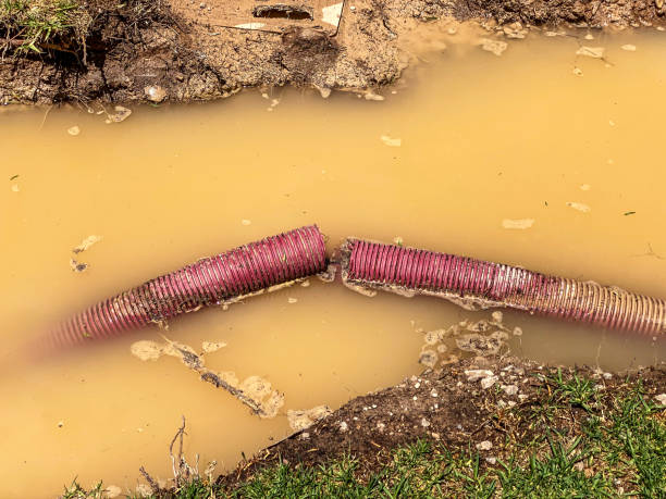 Best Water damage restoration mold remediation  in Diamond, IL