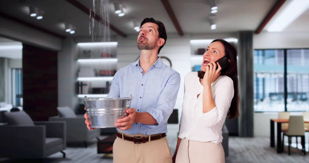 Best Mold removal after water damage  in Diamond, IL