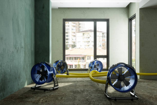 Reliable Diamond, IL Water damage restoration Solutions