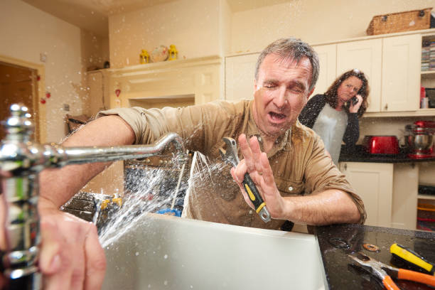 Best Local water damage restoration  in Diamond, IL